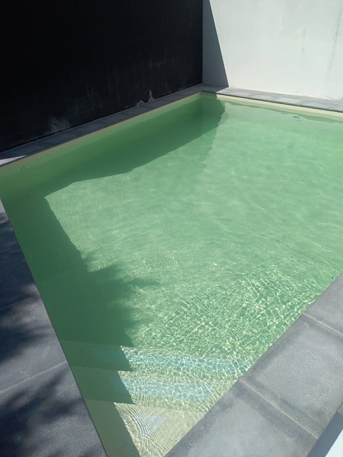 Construção e manutenção de piscinas