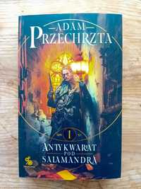 "Antykwariat pod Salamandrą. Mons Viridis Magicus" - Adam Przechrzta