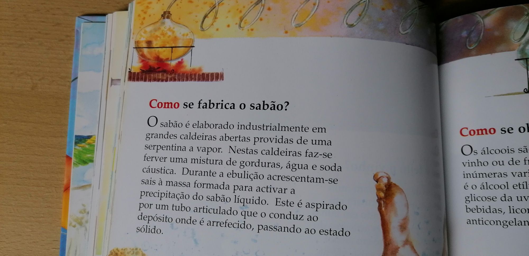 Livro "Sabes como"