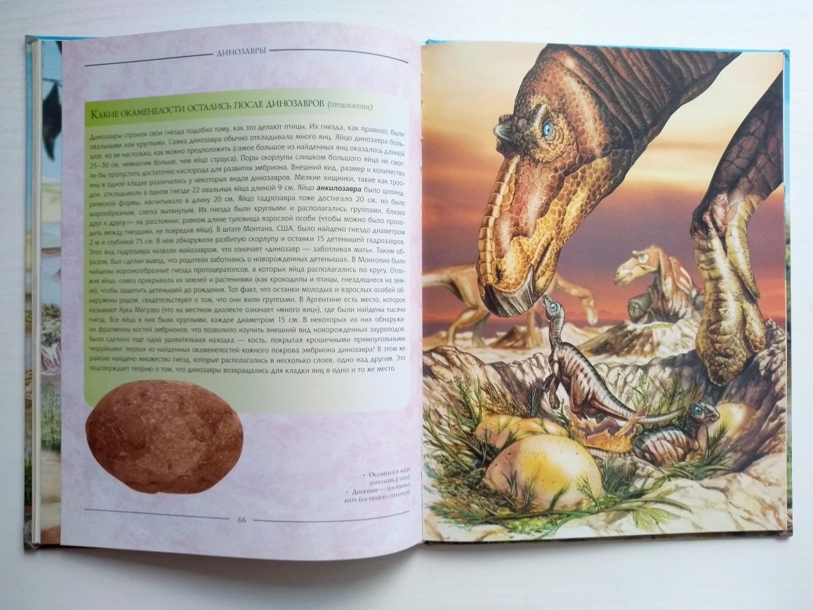 Иллюстрированная энциклопедия динозавров.