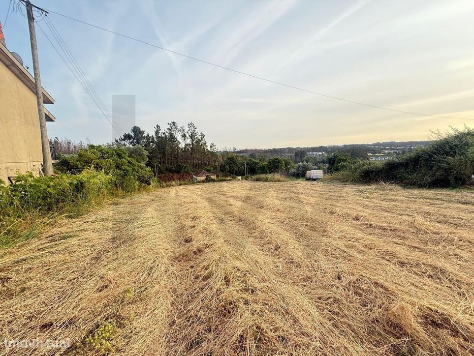 Terreno para construção com 1660 m2 Águeda - Valongo do Vouga