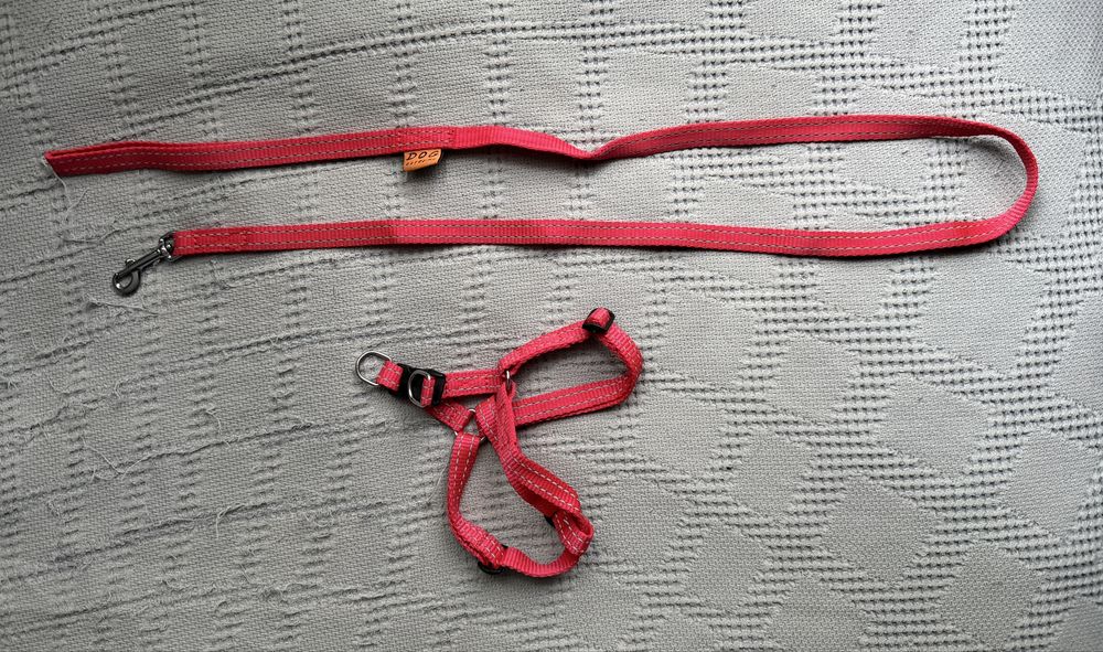 Шлея+поводок червона. Collar Dog Extreme