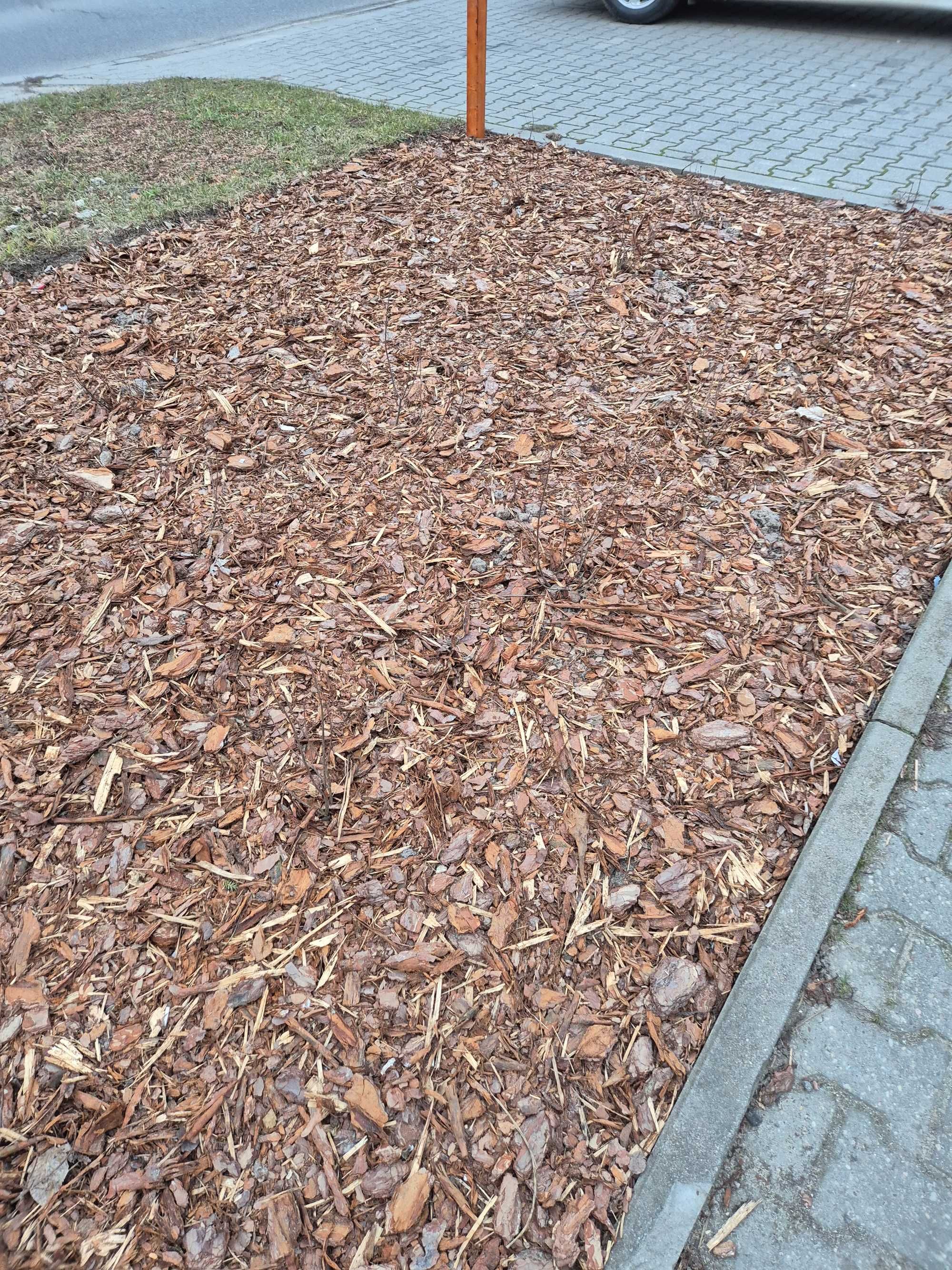 Kora sosnowa (nie sortowana) workowana Dostawa Gratis