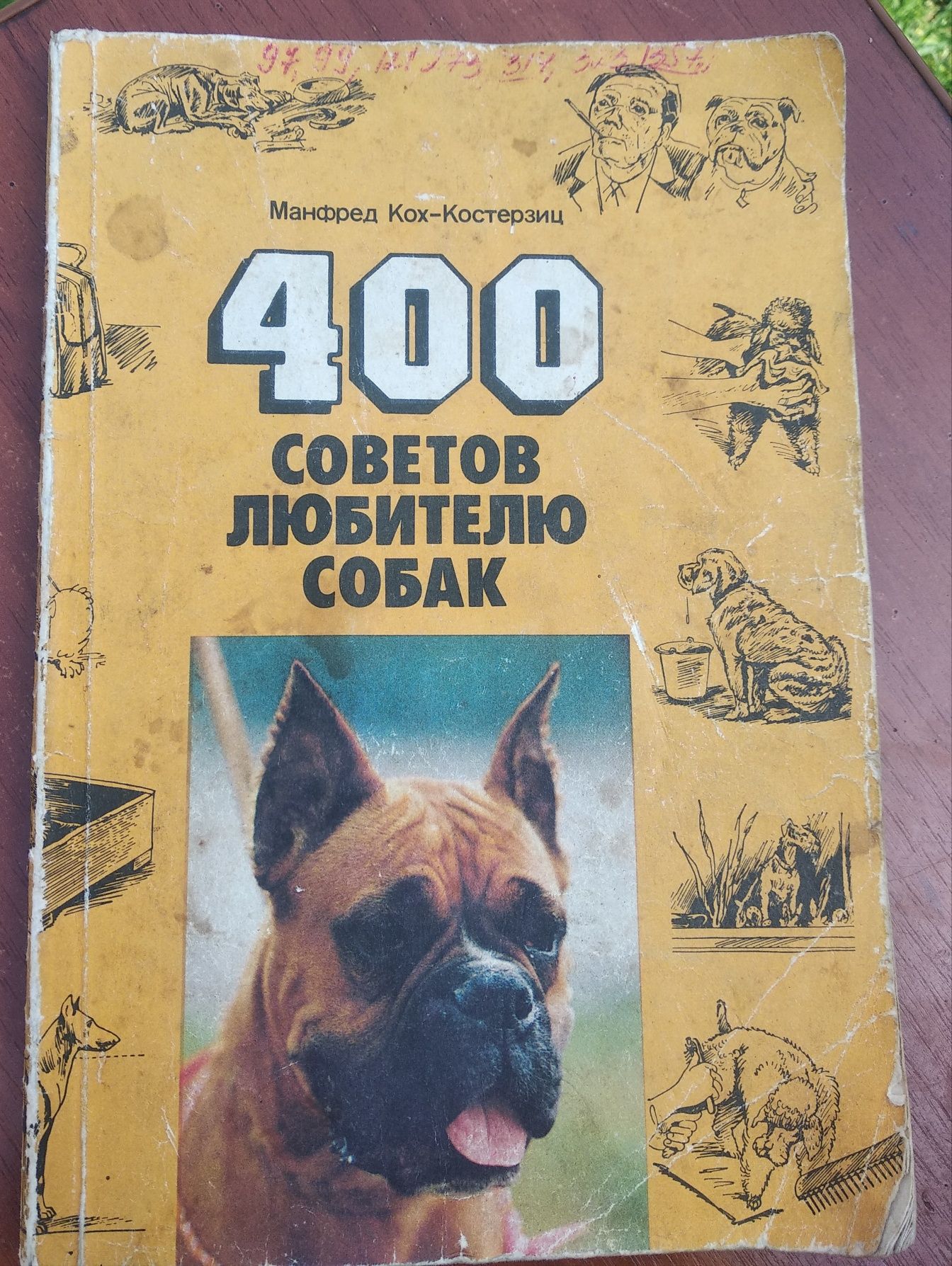 400 советов любителю собак
