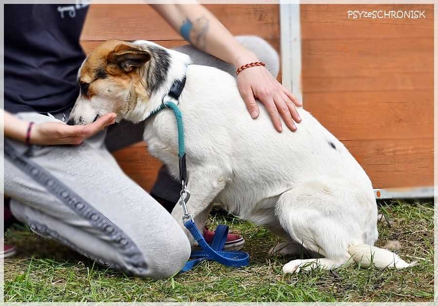 Kraska – teraz będzie już tylko lepiej