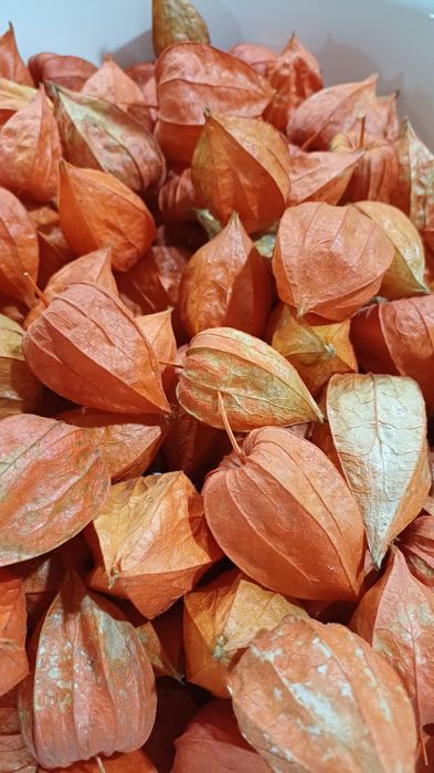 Продам фезалис 200 грамм