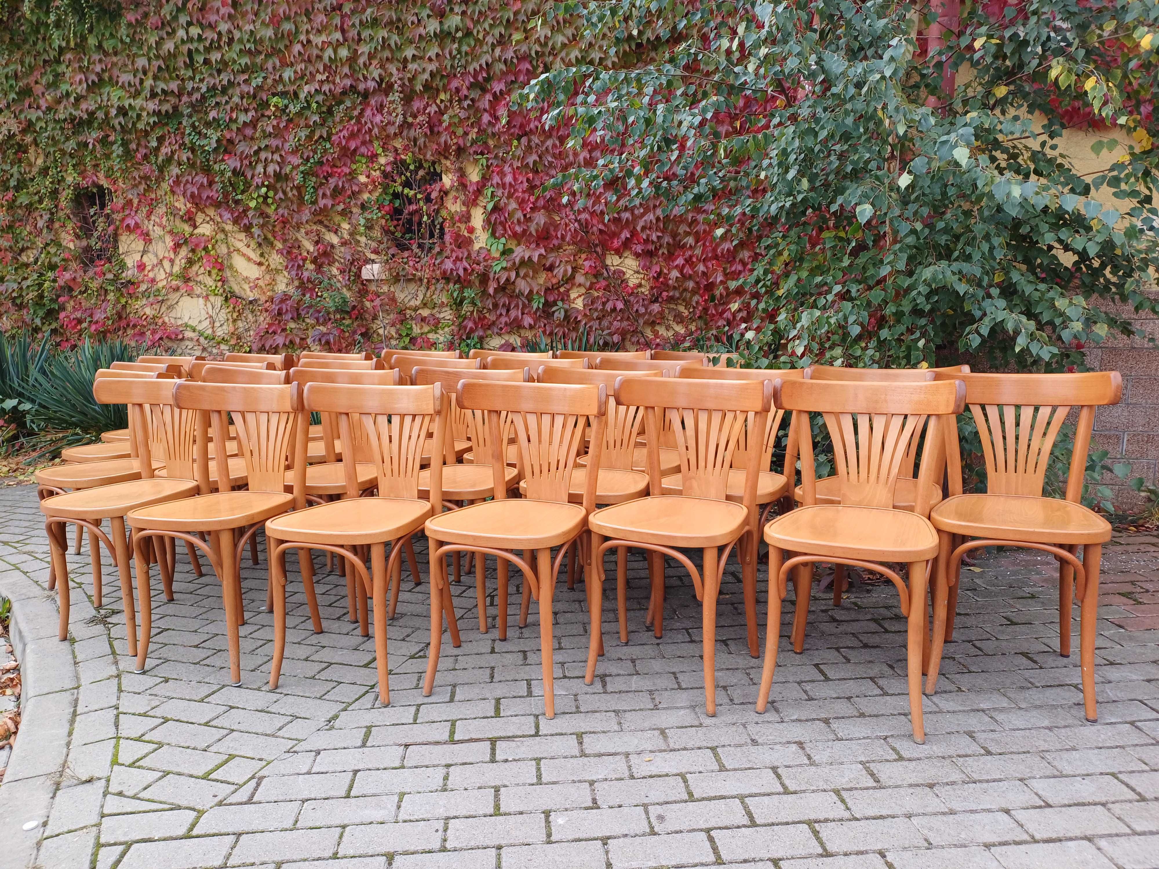 Krzesło krzesła jak thonet bistro gięte vintage radomsko