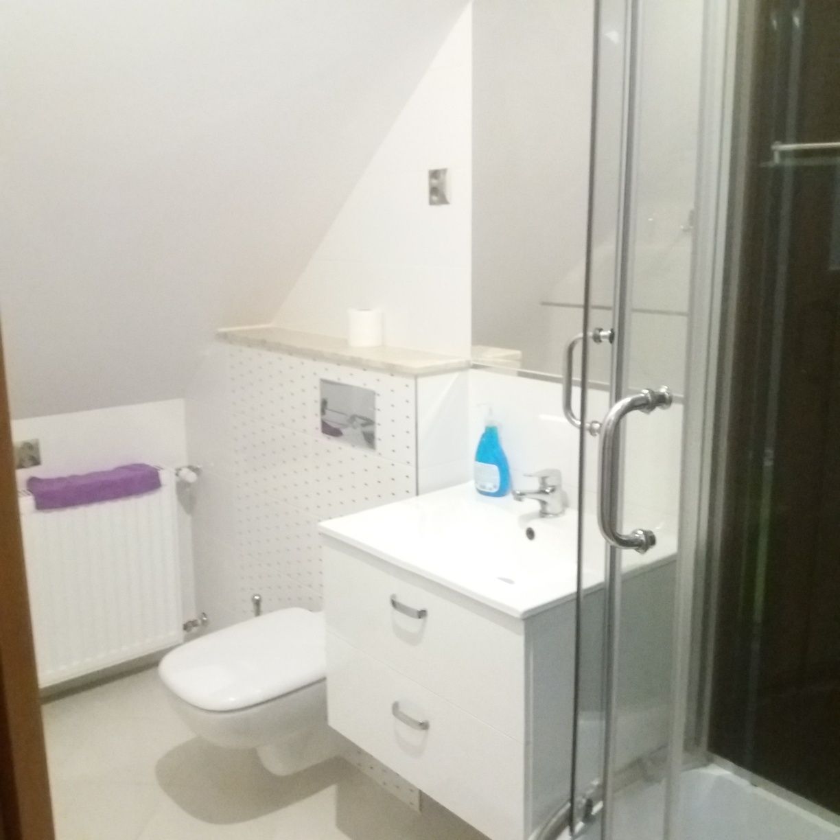 Noclegi domek 6-8 osobowy i apartament w Chmienlie