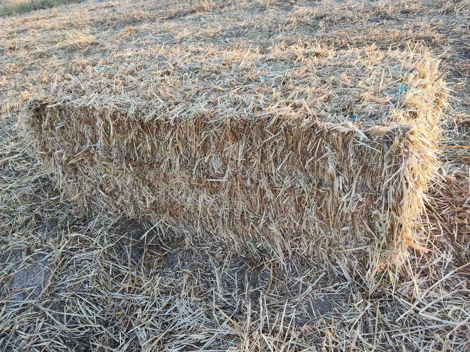 Fardos de Feno - 2025