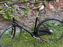 Rower Giant cabriolet bordo