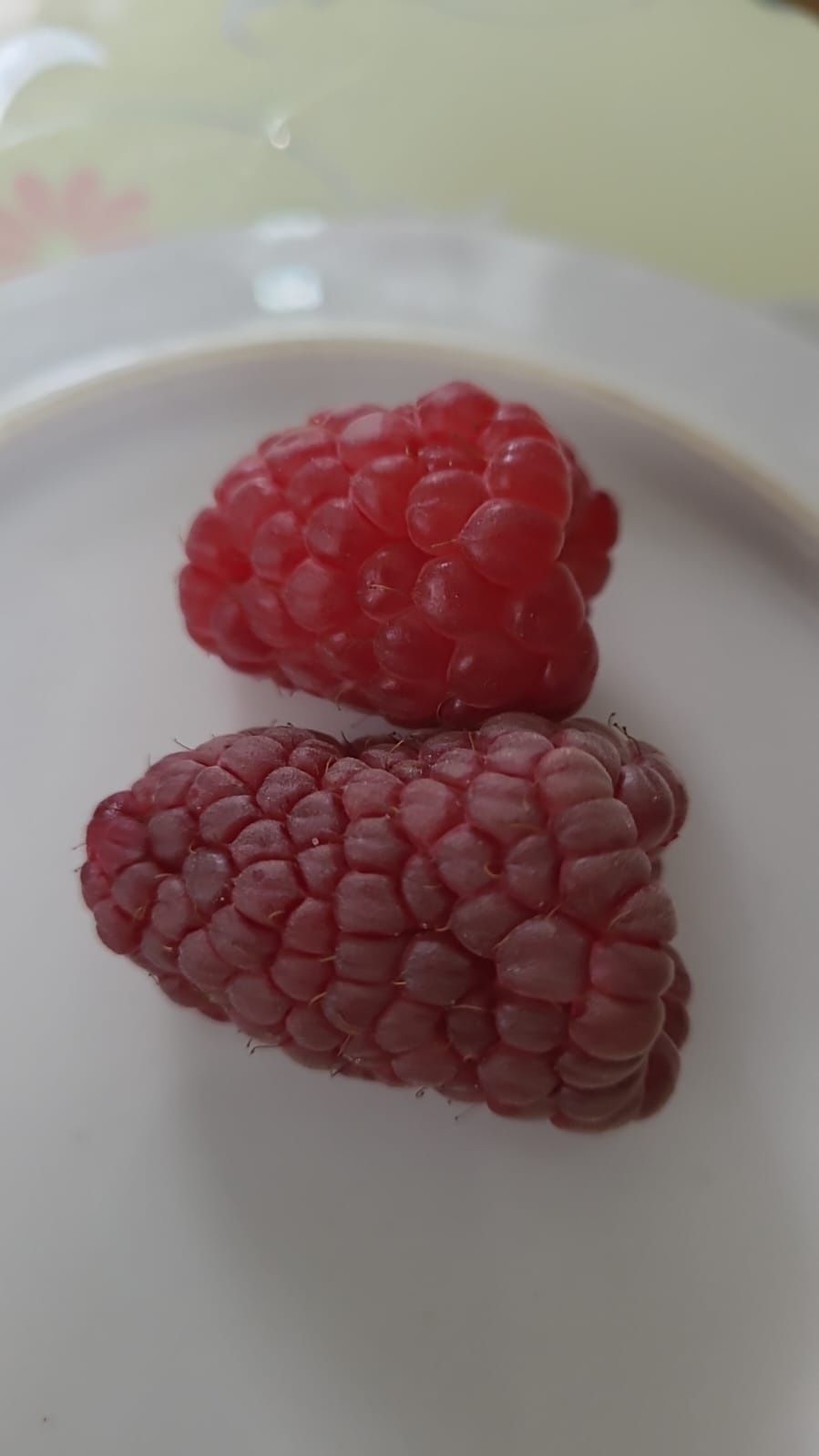 MALINY duże i slodkie