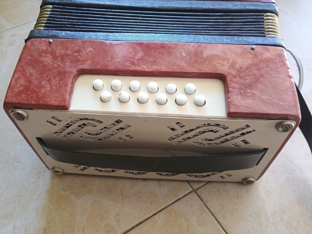 Akordeon dla dzieci