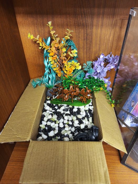 Аквариум 20 л и всё для что в нём