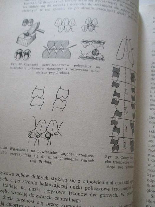 Stomatologia zachowawcza/Zarys stomatologii dziecięcej/stomatologia