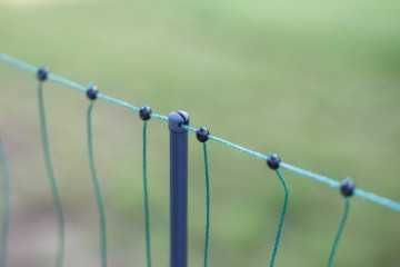 Siatka elektryczna dla drobiu Premium 50 m, 122 cm, podw szpic zielony