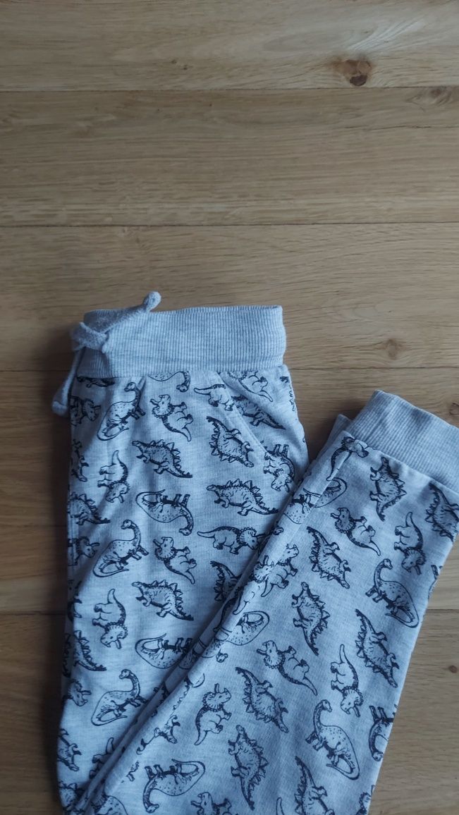 Spodnie cotton joggers popiel print dino jak nowe r 116