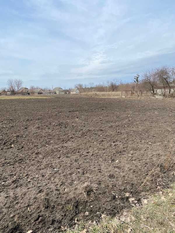 Продам земельну ділянку Шаровка Богодухівський район (168940)