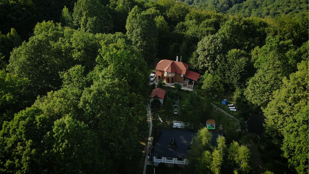 Садиба в лісі чан сауна