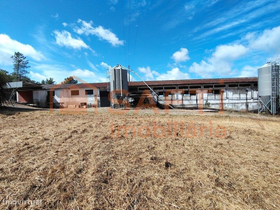 Pavilhão De Dois Pisos, Destinado À Exploração De Diversas Áreas De...