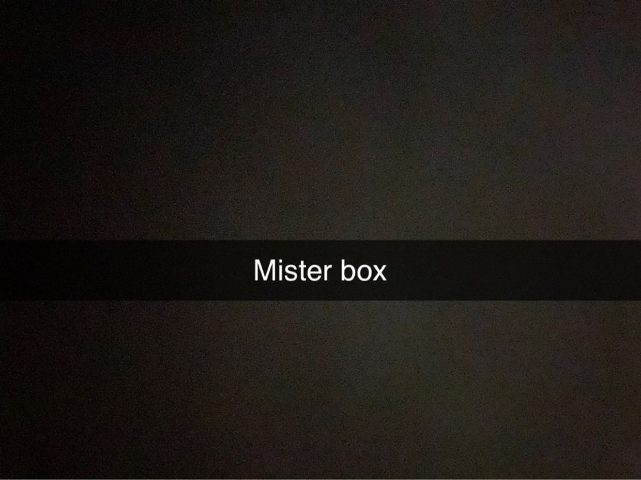 Mister box koralikowy