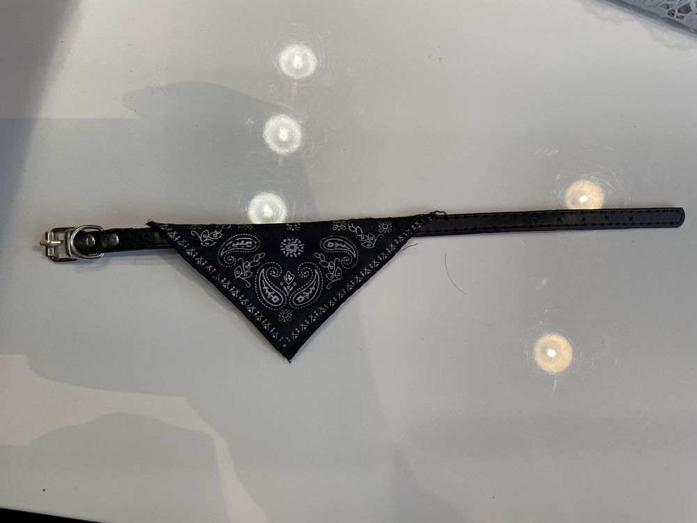 Bandana husta obroża dla kota