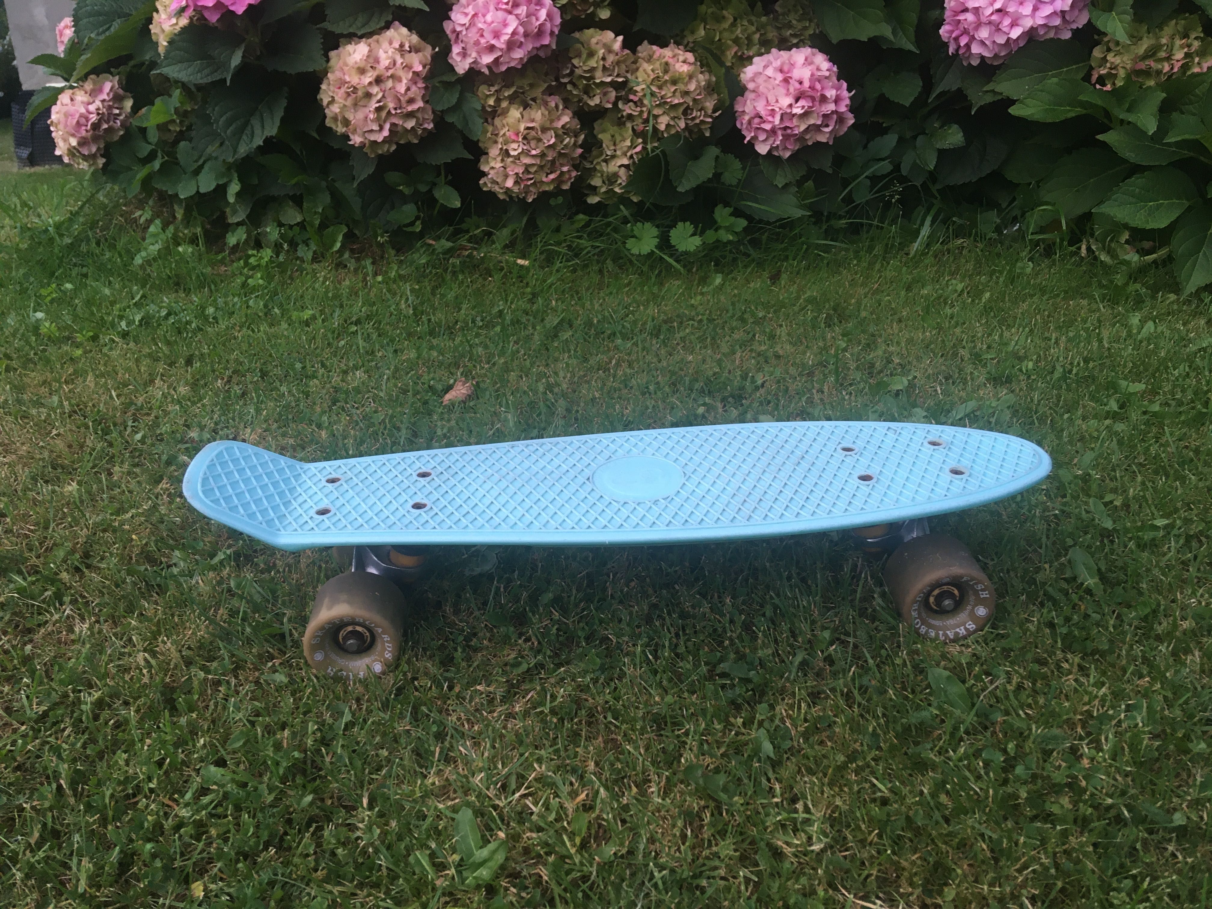 Deskorolka Fishboard