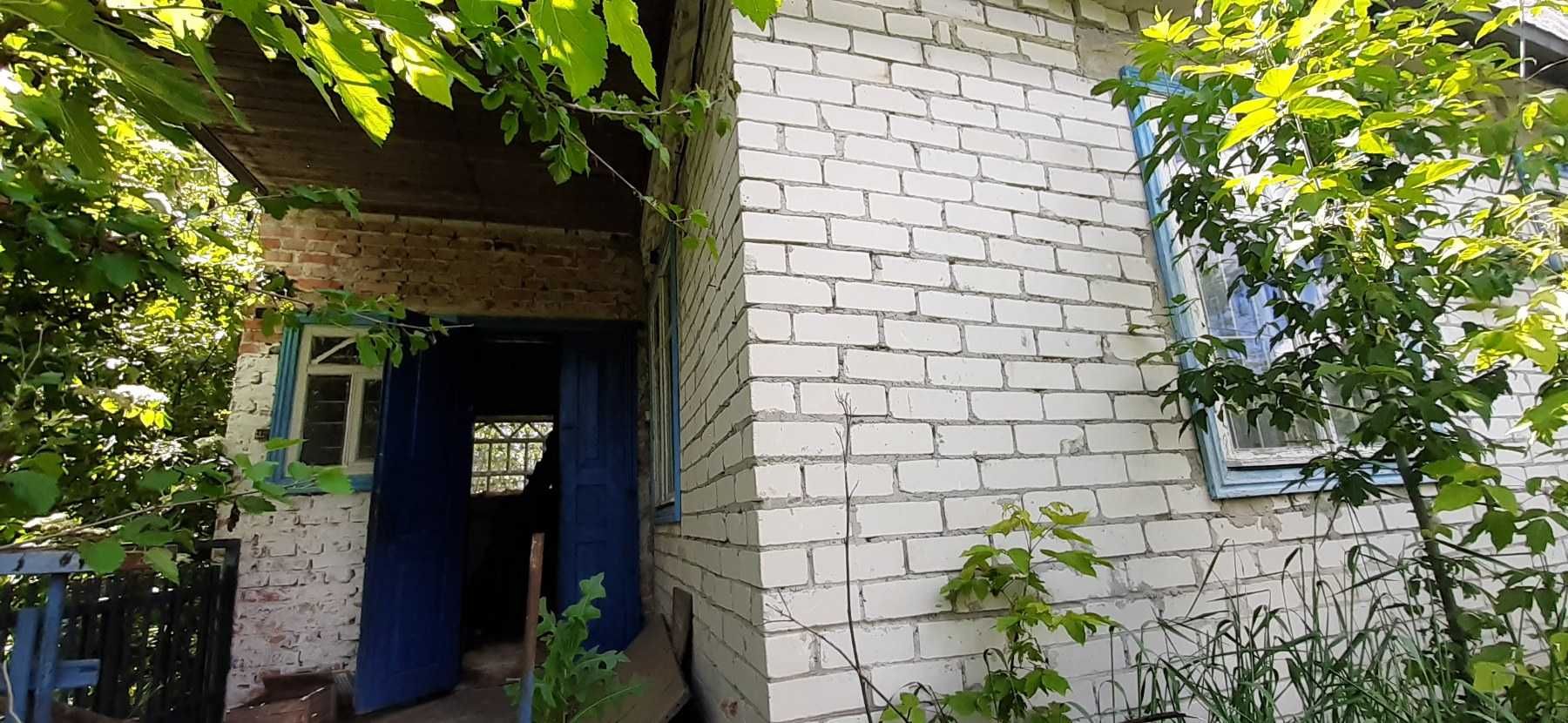 Дача. Ділянка з видом  на каналі Дніпра.
