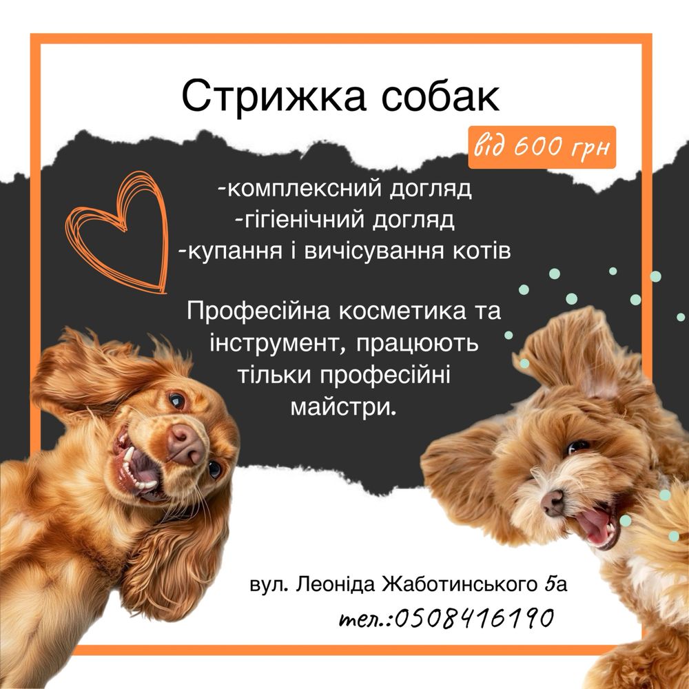 Стрижка собак від 600 грн