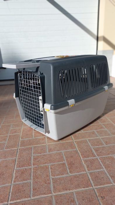 Transportadora Cão