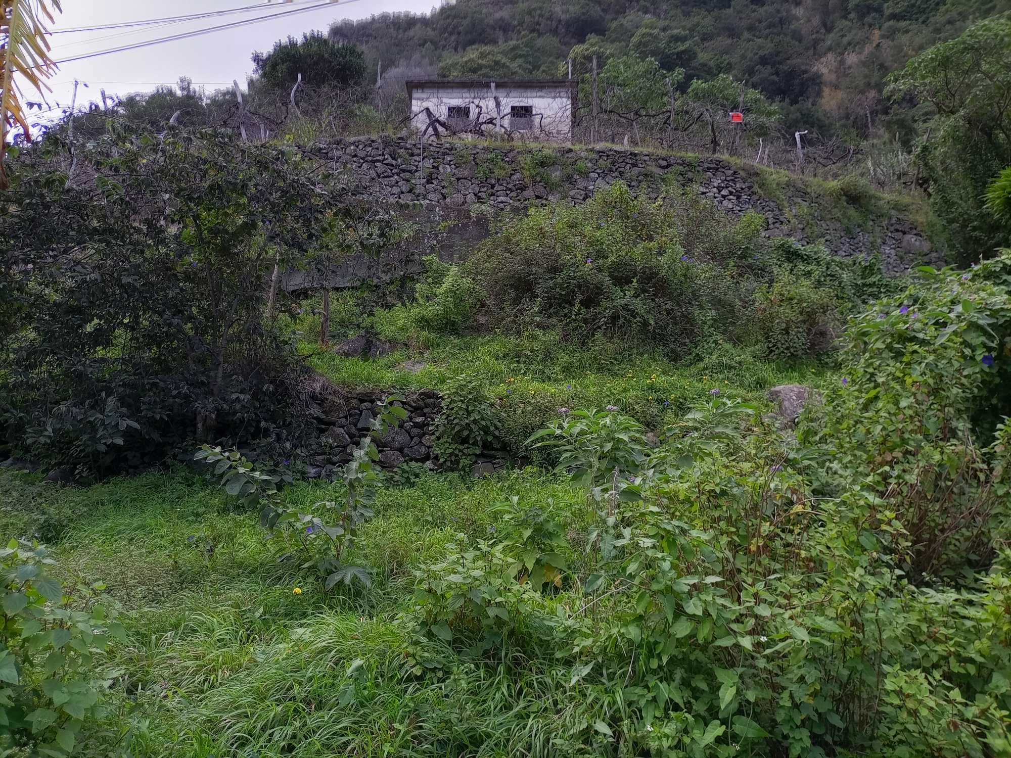 Prédio com construção rural e lagar em São Jorge - Santana