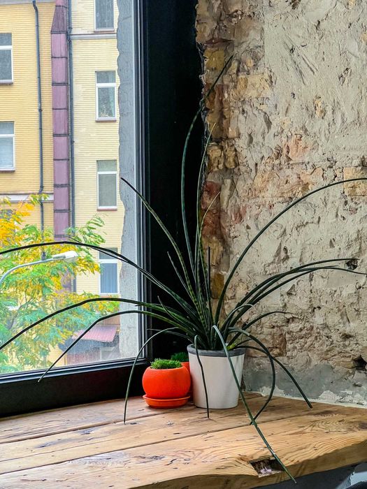 Аренда офиса LOFT на Михайловском пер. Без комиссии!