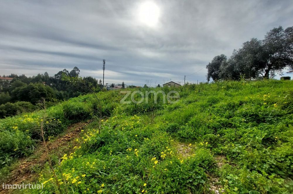 Terreno Urbano em Travassô