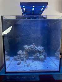 Akwarium morskie 140 litrow