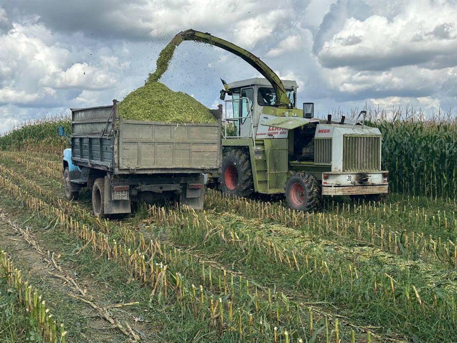 CLAAS Juguar 695 mega