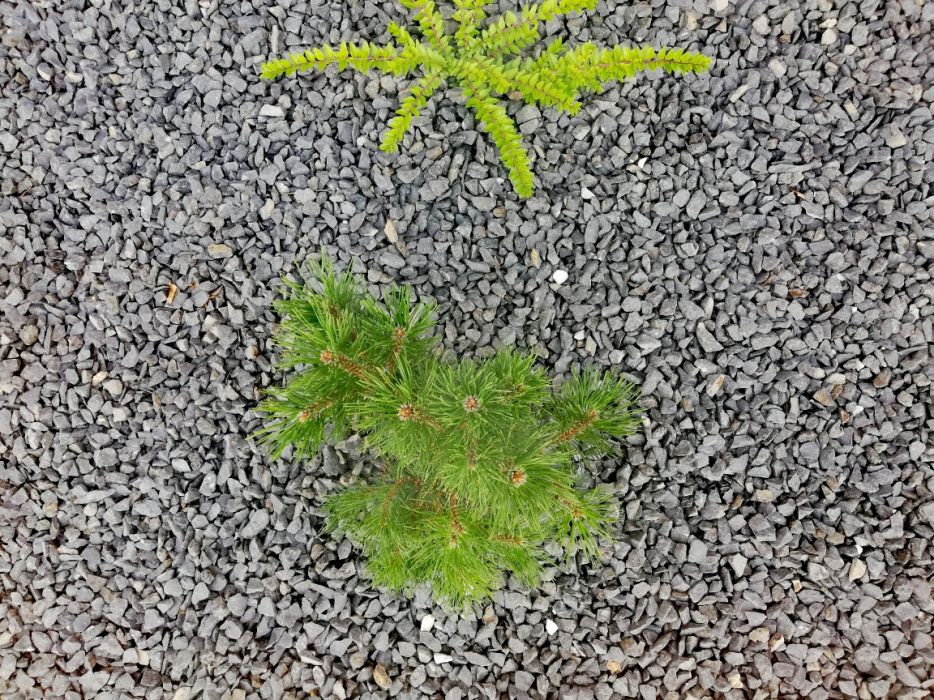 Grys czarny bazalt kamień naturalny grafit darmowa DOSTAWA + głaz