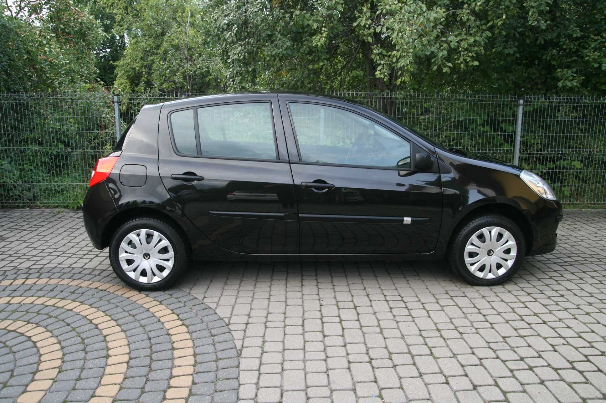 Renault Clio Zadbany