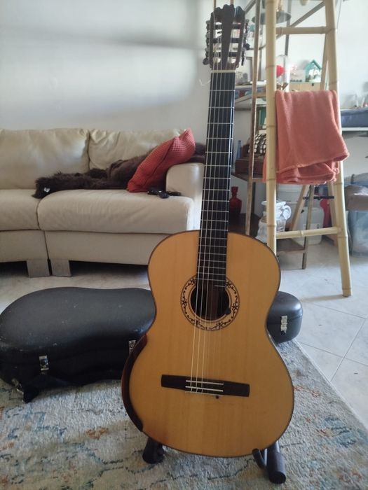 Viola António Monteiro