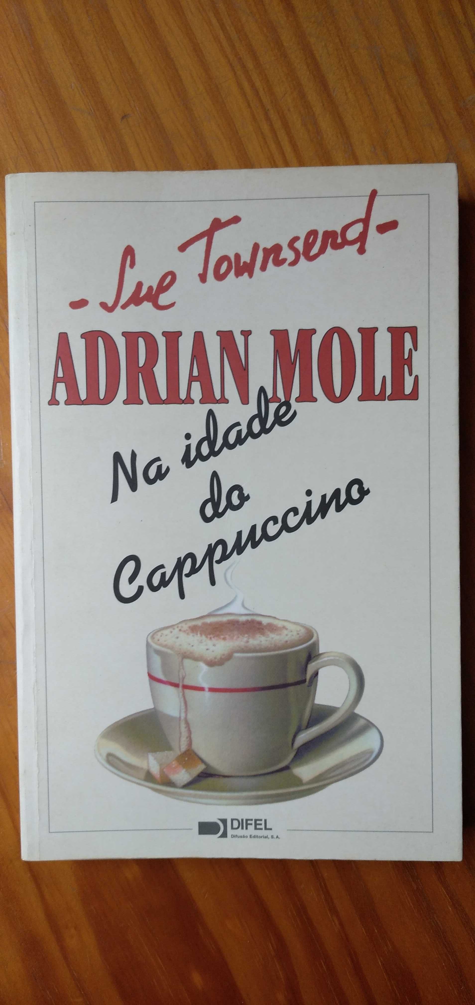 Adrian Mole na Idade do Cappuccino - Sue Townsend