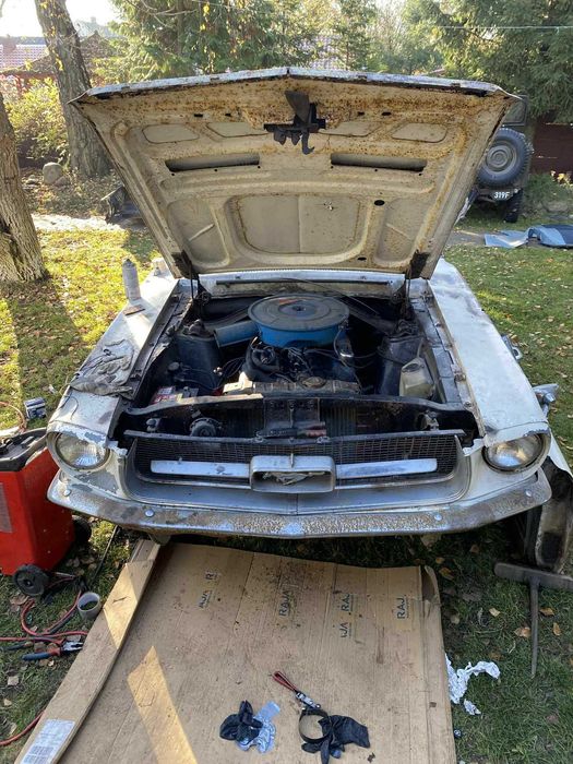Ford Mustang 1V8 - 4,7 L 1967 do renowacj