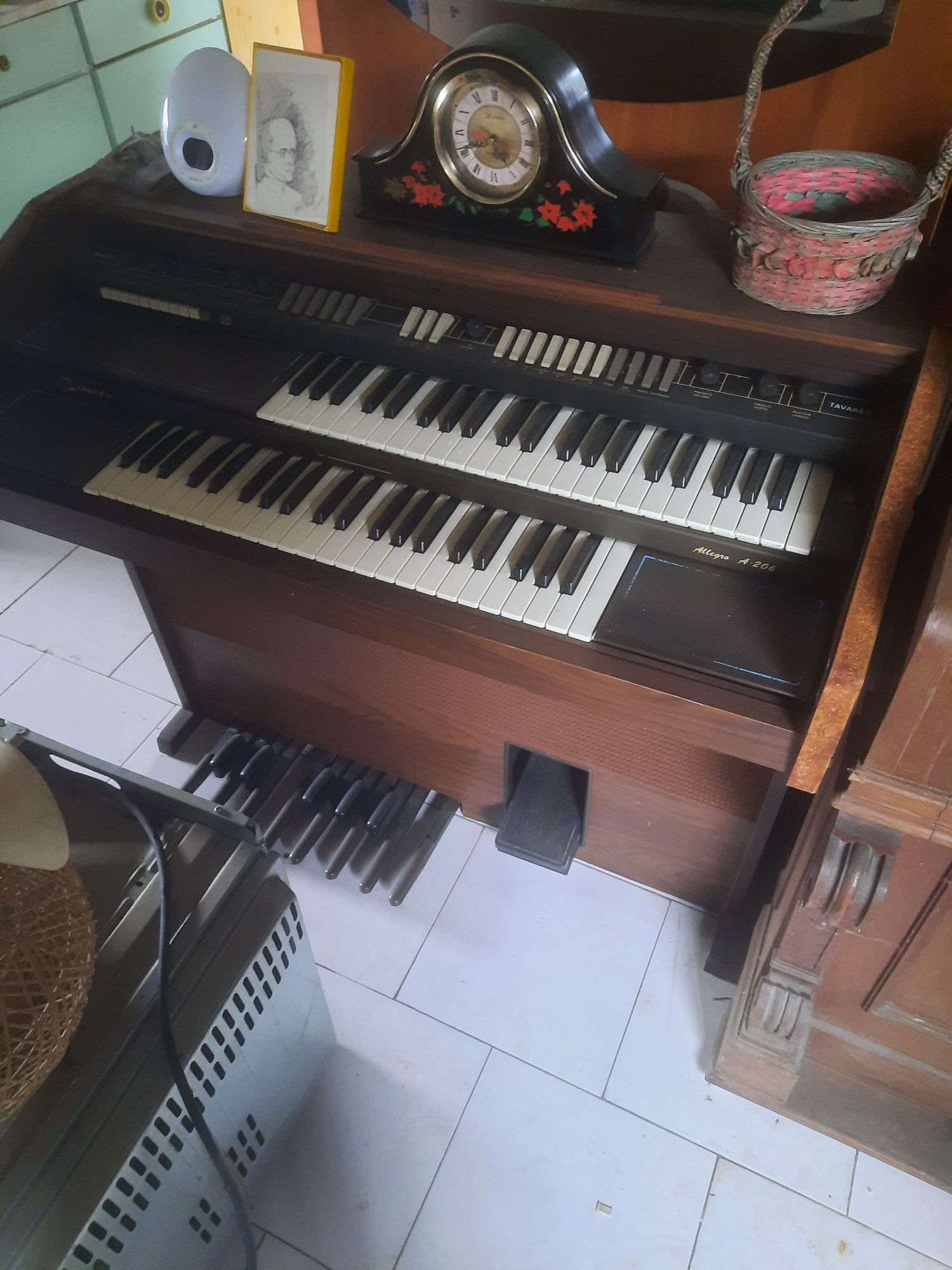 Órgãos, manuais e outros eletricos