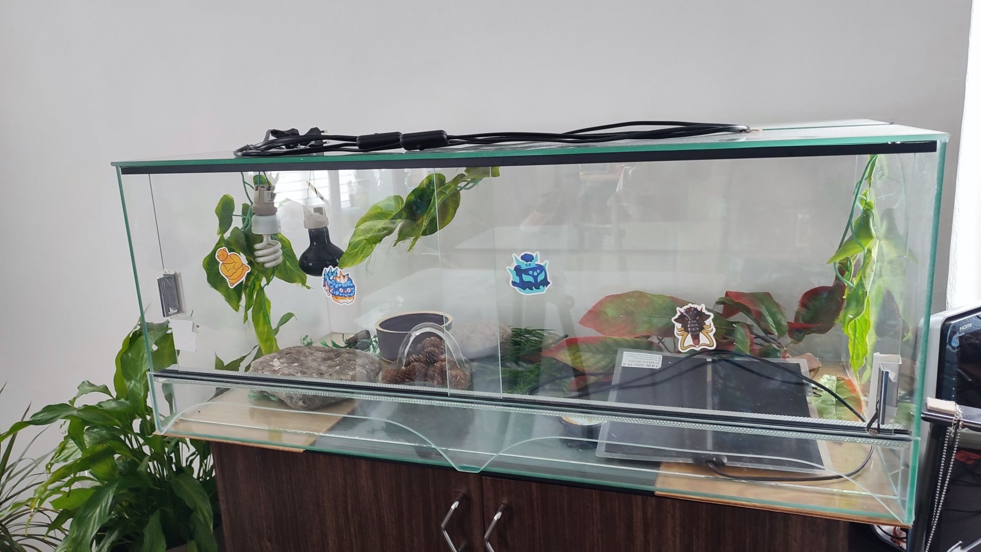 Terarium z drzwiami