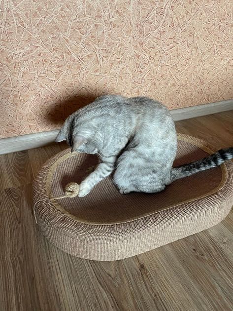 Когтеточка-лежанка 2-в-1 для котів – зручна з м'ячиком