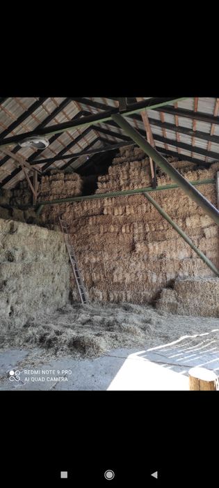Słoma w kostkach !!!