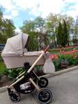 Коляска дитяча carrello 2в1