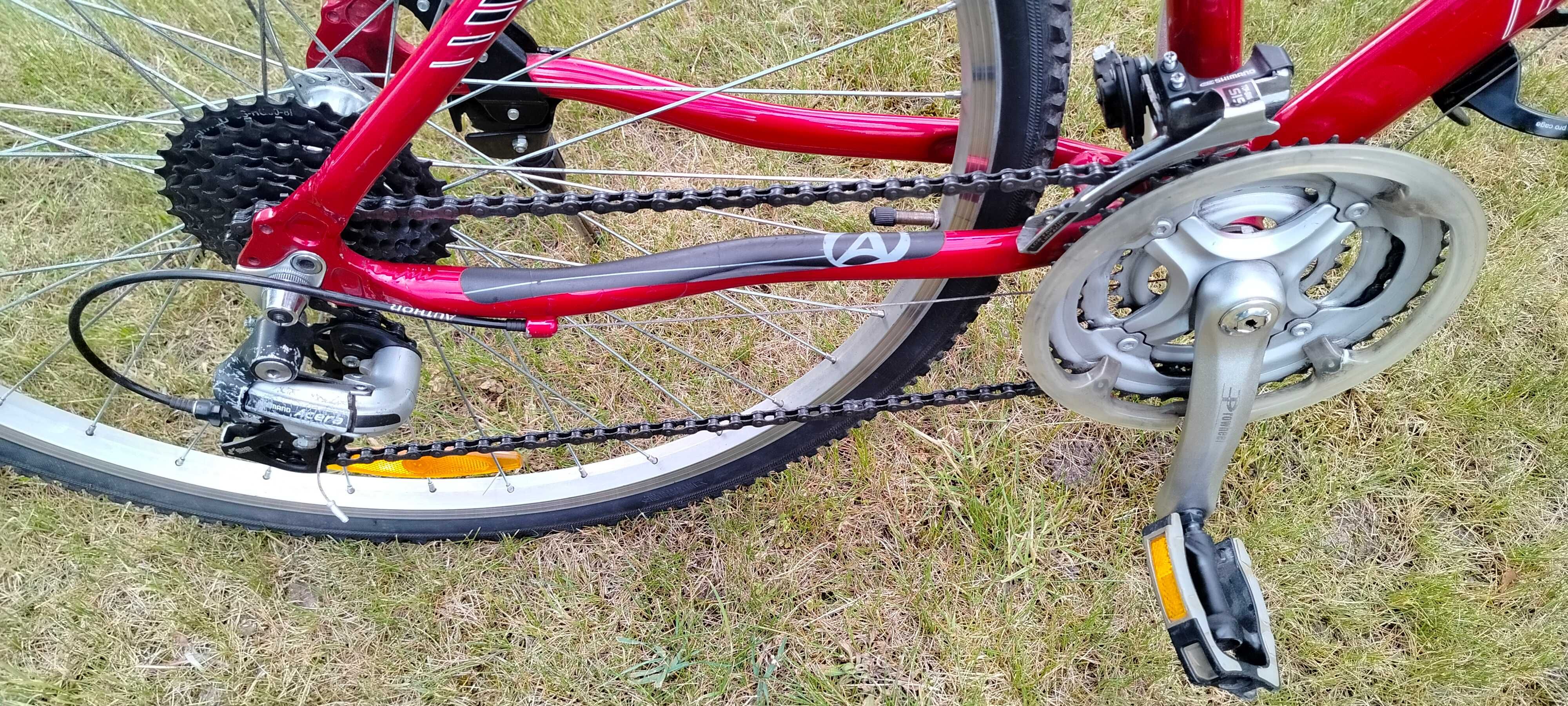 Rower AUTHOR LINEA 17" Cross