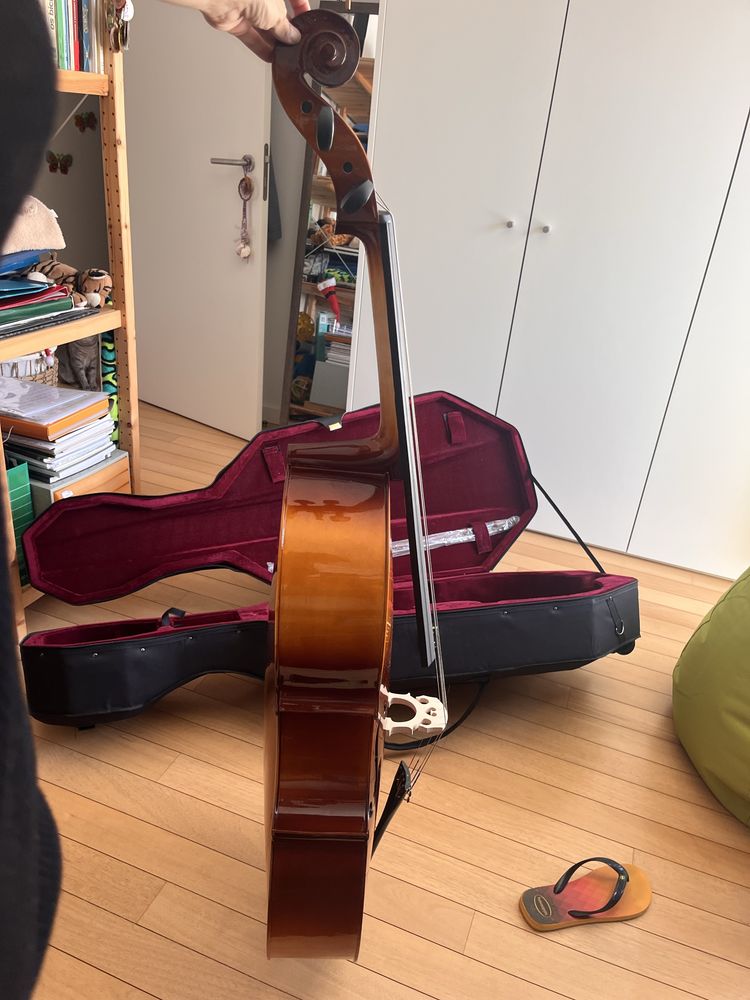 Violoncelo tamanho inteiro (4/4)