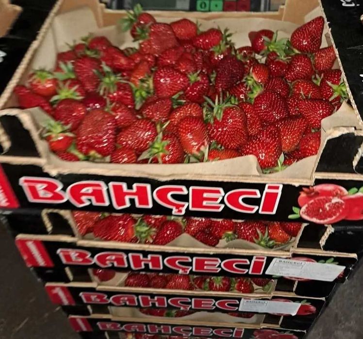 Касетну розсаду ранньої клубніки