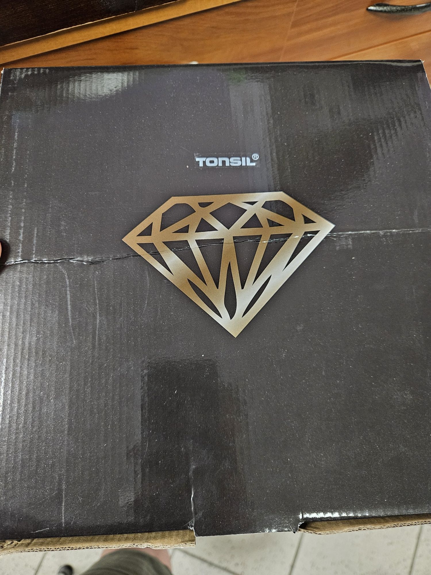 Tonsil business speaker 100W
