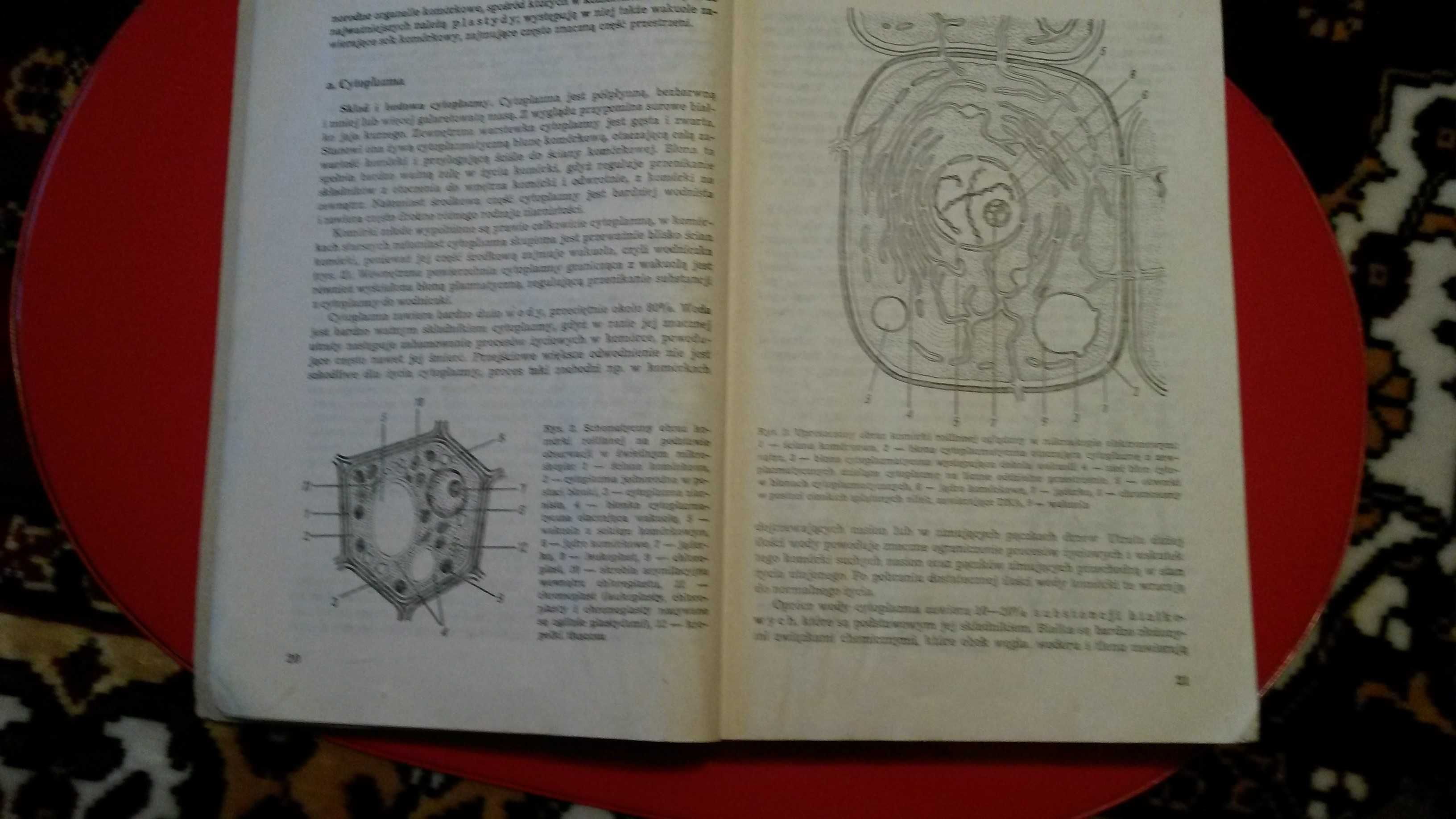 botanika podręcznik dla techników rolniczych s.tołpa j.radomski