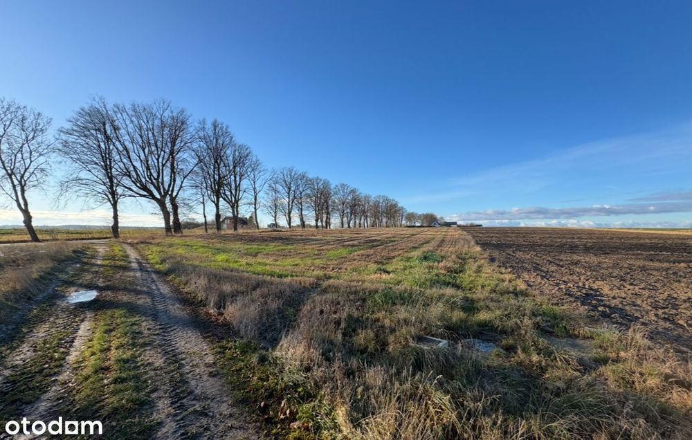 Działka 4000 M² | Goszczyno | Powiat Pucki | Widok Na Morze